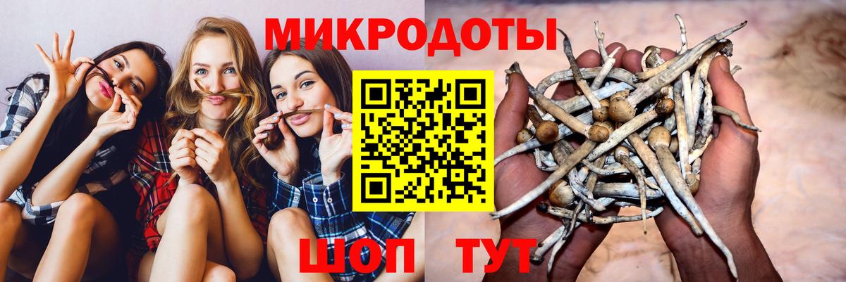 Балашов  Псилоцибиновые грибы мицелий  Вход с VPN 